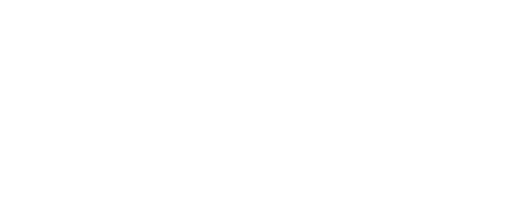 Logo of the BBAW in white