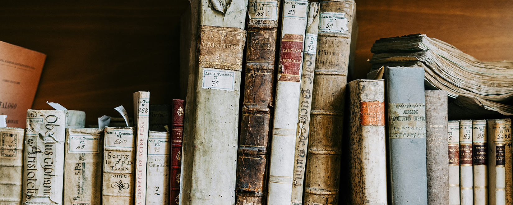 Row of aged leather-bound books with handwritten labels on a wooden shelf.