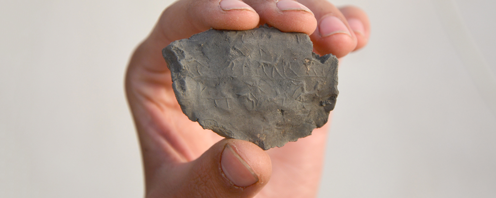 A hand holding a seal impression on clay. Very tiny animals are visible.