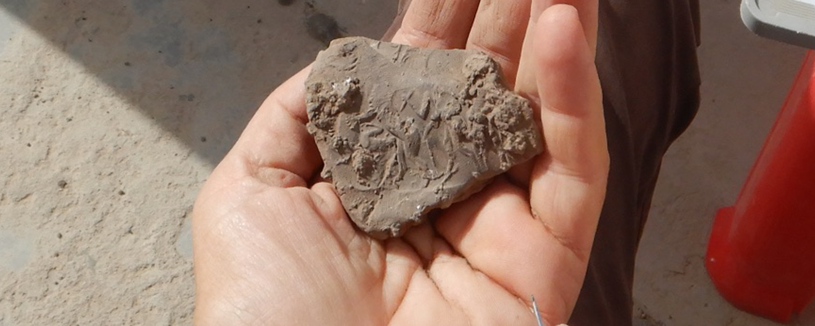 A hand holding a piece of clay that a seal moulded.